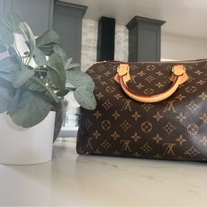 Louis Vuitton Classic Brown Monogram Bag